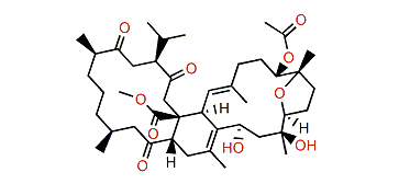 Lobophytone P